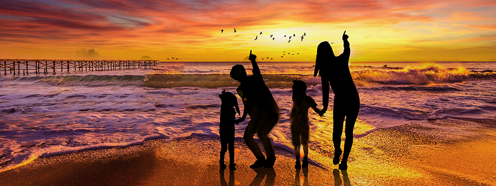 企业责任.png 企业责任.png